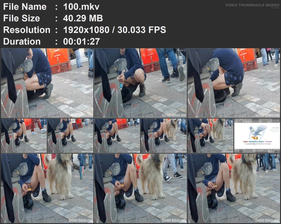 100.mkv.jpg