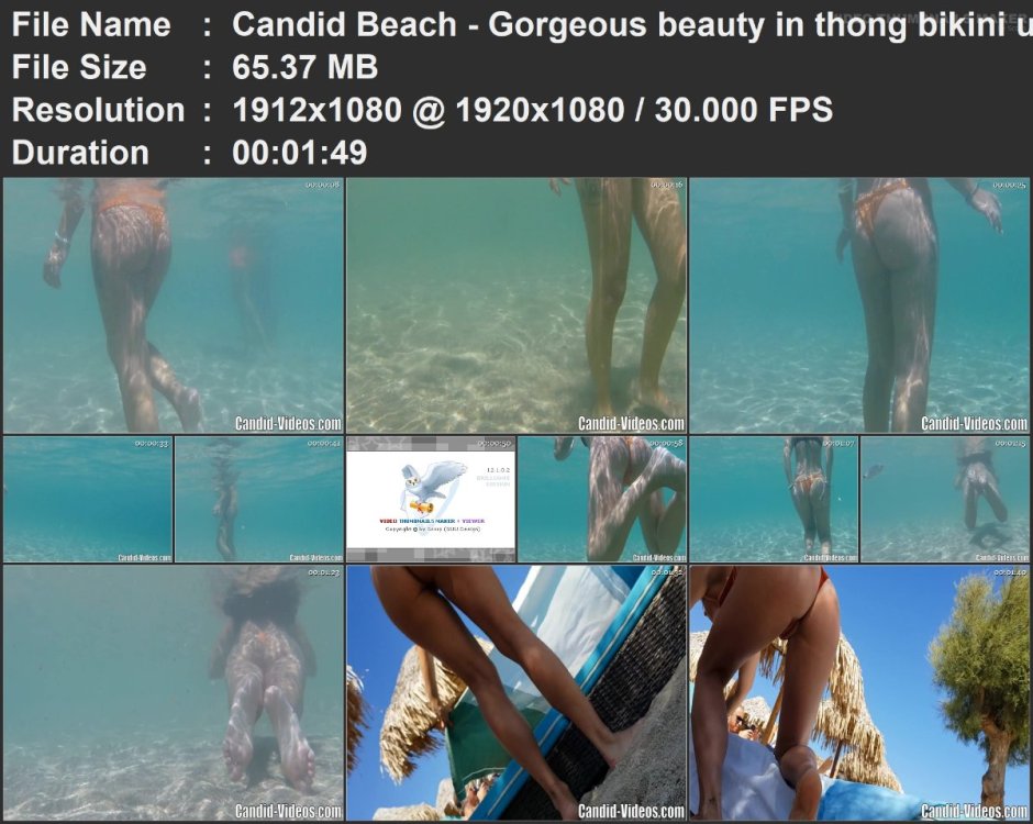 Candid Beach - Gorgeous beauty in thong bikini underwater re.mp4.jpg