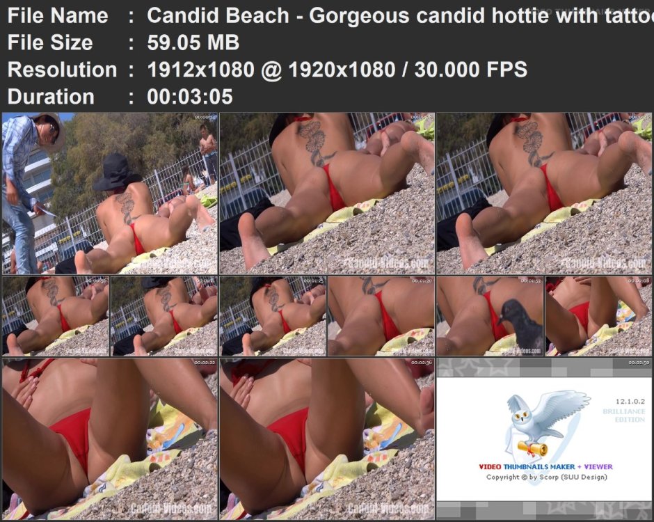 Candid Beach - Gorgeous candid hottie with tattoo in a very .mp4.jpg