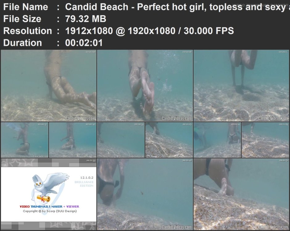 Candid Beach - Perfect hot girl, topless and sexy ass positi.mp4.jpg