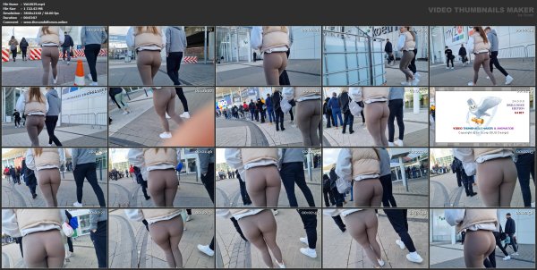 Vid.0039.mp4.jpg