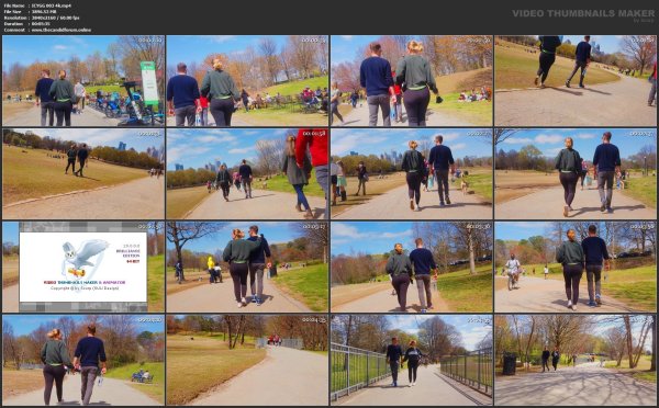 ICYGG 003 4k.mp4.jpg