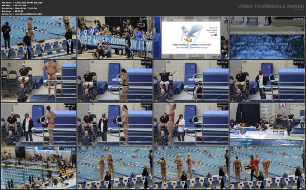 ICYGG 2022 00249 4k1.mp4.jpg