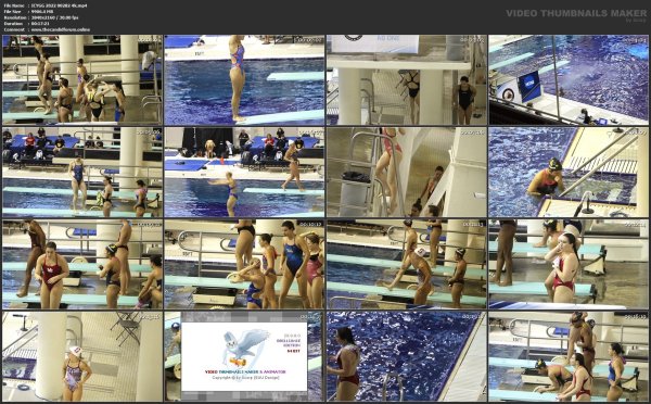 ICYGG 2022 00282 4k.mp4.jpg