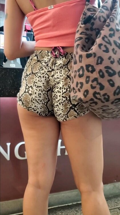 Snapshot_20260808203304.jpg
