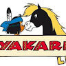 kikilab2